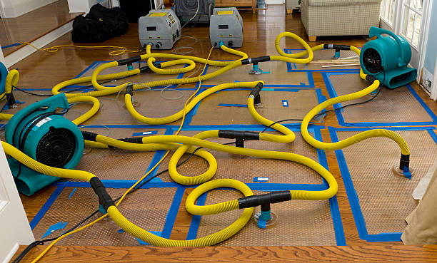 Professional Water Damage Restoration technician working in Morris, AL